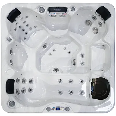 Avalon EC-849L hot tubs for sale in Grand Rapids