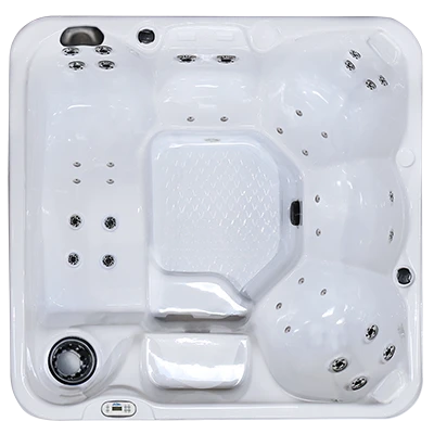 Hawaiian PZ-636L hot tubs for sale in Grand Rapids